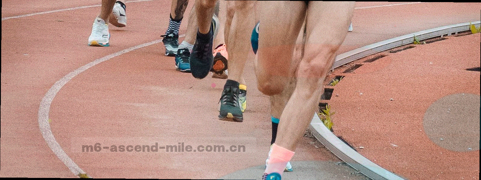 球场顶棚金属网架仰拍，冷色调，抽象几何线条与规律网格